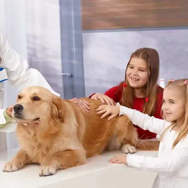 Laser Therapy